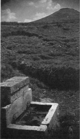 Fuente Vieja