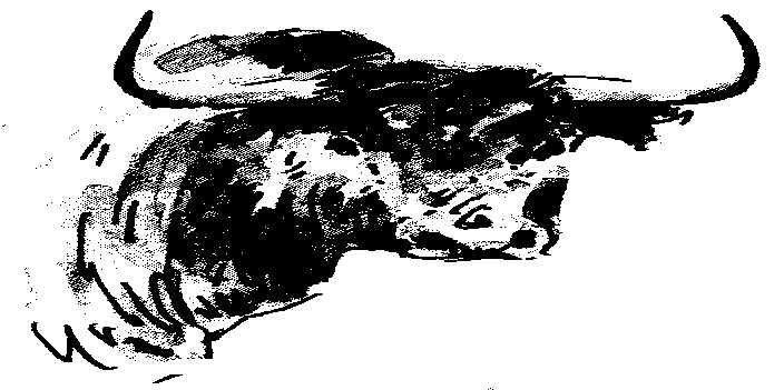 wpe8.jpg (39600 bytes)