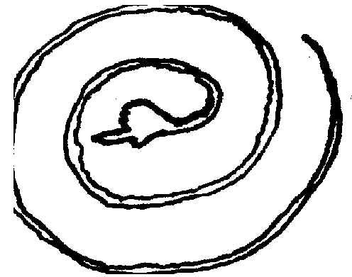 wpe3.jpg (24382 bytes)