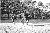 Fuerza, leyenda y honor se dan la mano sobre la arena del Palenque